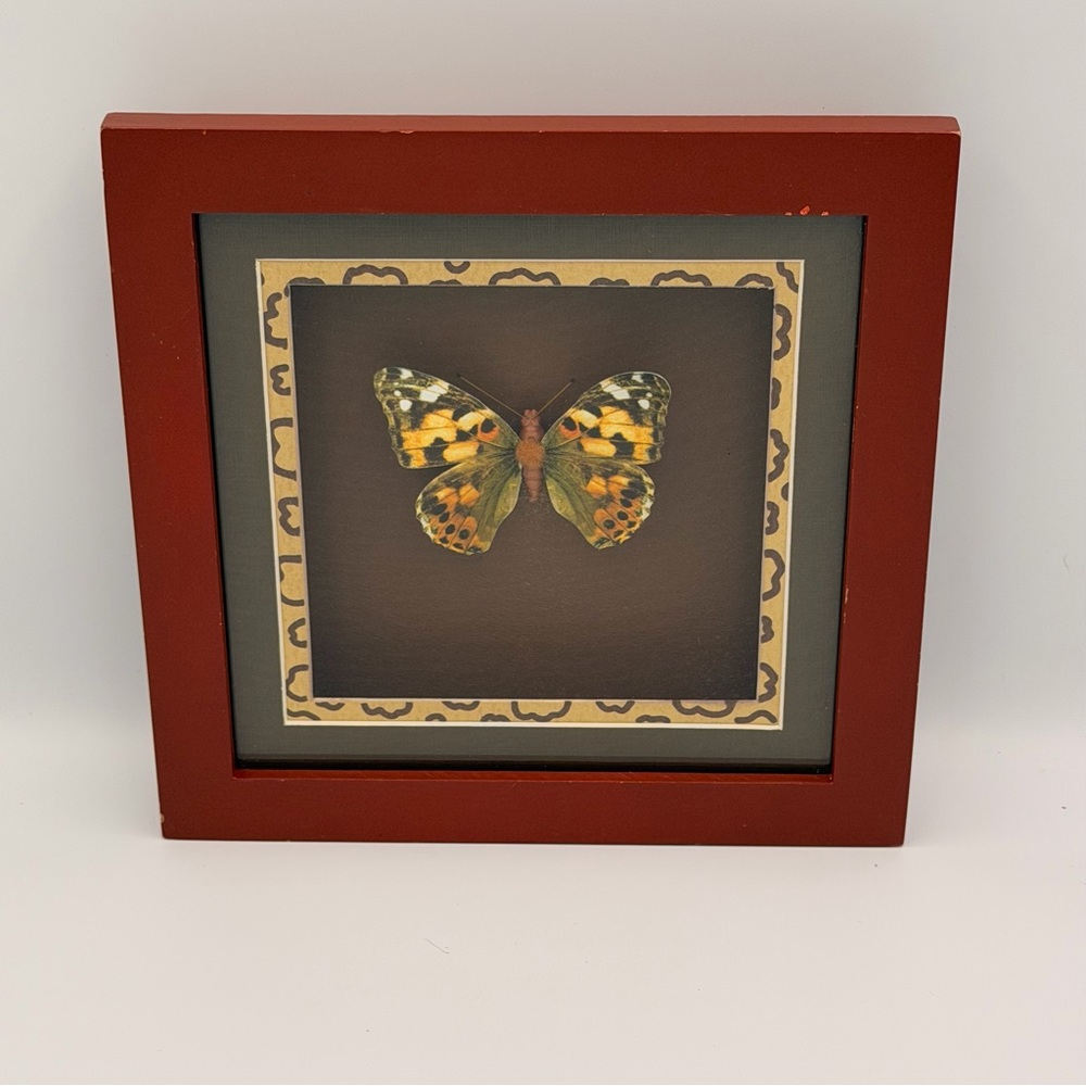 Framed Butterfly Shadow Box Wall Art 8x8 Leopard Print Accent Nature Decor